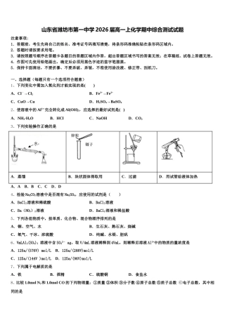 山东省潍坊市第一中学2026届高一上化学期中综合测试试题含解析