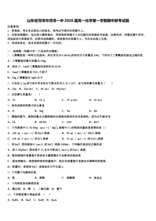 山东省菏泽市菏泽一中2026届高一化学第一学期期中联考试题含解析
