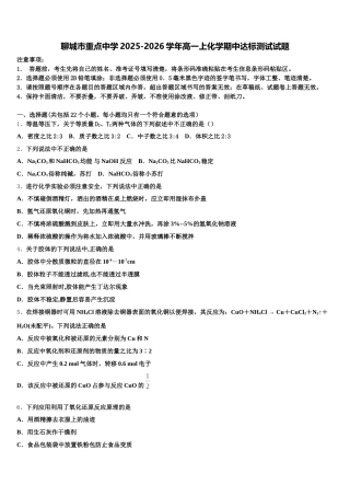 聊城市重点中学2025-2026学年高一上化学期中达标测试试题含解析