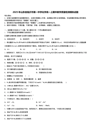 2025年山东省临沂市第一中学化学高一上期中教学质量检测模拟试题含解析