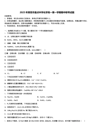 2025年莱芜市重点中学化学高一第一学期期中联考试题含解析