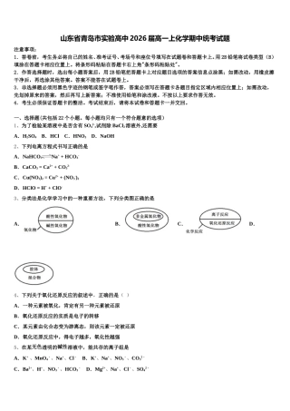 山东省青岛市实验高中2026届高一上化学期中统考试题含解析