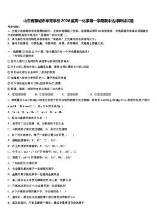 山东省聊城市华育学校2026届高一化学第一学期期中达标测试试题含解析