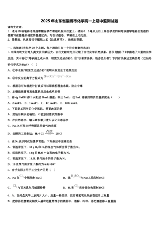 2025年山东省淄博市化学高一上期中监测试题含解析