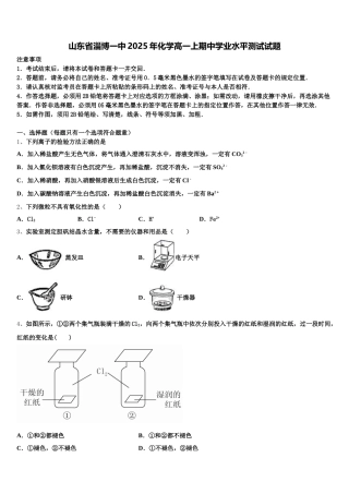 山东省淄博一中2025年化学高一上期中学业水平测试试题含解析