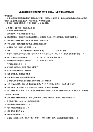 山东省聊城市华育学校2026届高一上化学期中监测试题含解析