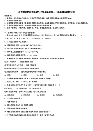 山东泰安肥城市2025-2026学年高一上化学期中调研试题含解析