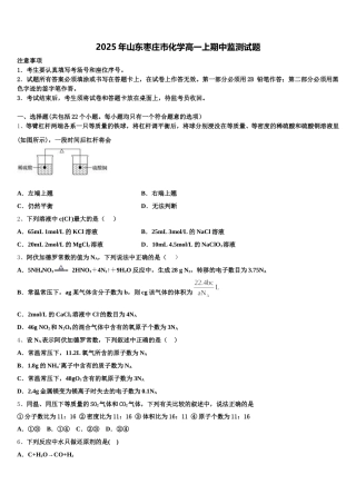 2025年山东枣庄市化学高一上期中监测试题含解析