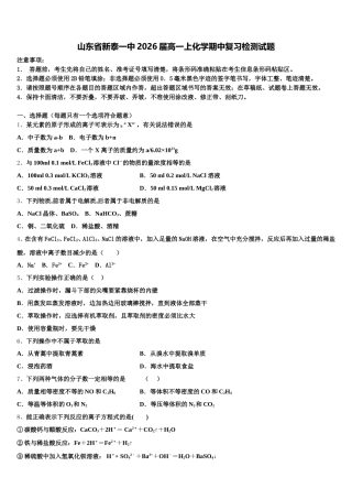 山东省新泰一中2026届高一上化学期中复习检测试题含解析