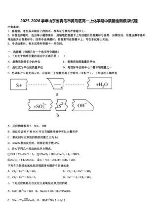 2025-2026学年山东省青岛市黄岛区高一上化学期中质量检测模拟试题含解析