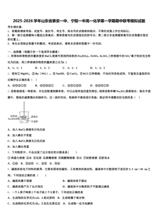 2025-2026学年山东省泰安一中、宁阳一中高一化学第一学期期中联考模拟试题含解析