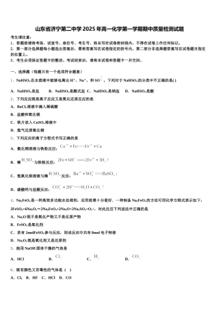 山东省济宁第二中学2025年高一化学第一学期期中质量检测试题含解析