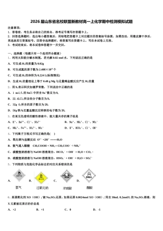 2026届山东省名校联盟新教材高一上化学期中检测模拟试题含解析