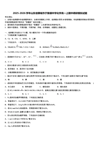 2025-2026学年山东省聊城市于集镇中学化学高一上期中调研模拟试题含解析