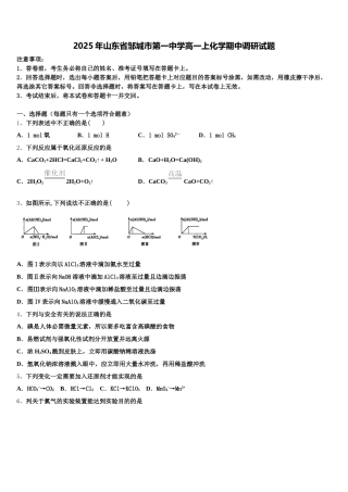 2025年山东省邹城市第一中学高一上化学期中调研试题含解析