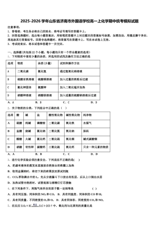 2025-2026学年山东省济南市外国语学校高一上化学期中统考模拟试题含解析