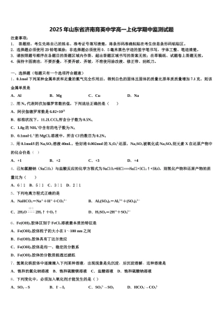 2025年山东省济南育英中学高一上化学期中监测试题含解析