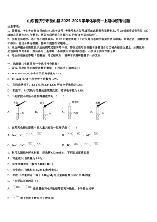 山东省济宁市微山县2025-2026学年化学高一上期中统考试题含解析