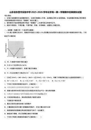 山东省东营市实验中学2025-2026学年化学高一第一学期期中经典模拟试题含解析