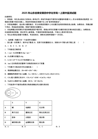 2025年山东省泰安第四中学化学高一上期中监测试题含解析