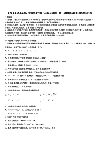 2025-2026学年山东省平度市第九中学化学高一第一学期期中复习检测模拟试题含解析