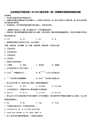 山东省临沂市临沭县一中2026届化学高一第一学期期中质量检测模拟试题含解析