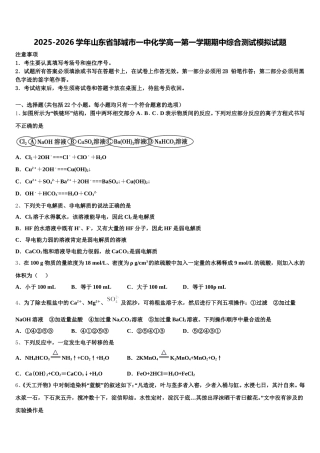 2025-2026学年山东省邹城市一中化学高一第一学期期中综合测试模拟试题含解析
