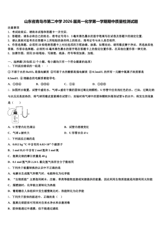 山东省青岛市第二中学2026届高一化学第一学期期中质量检测试题含解析