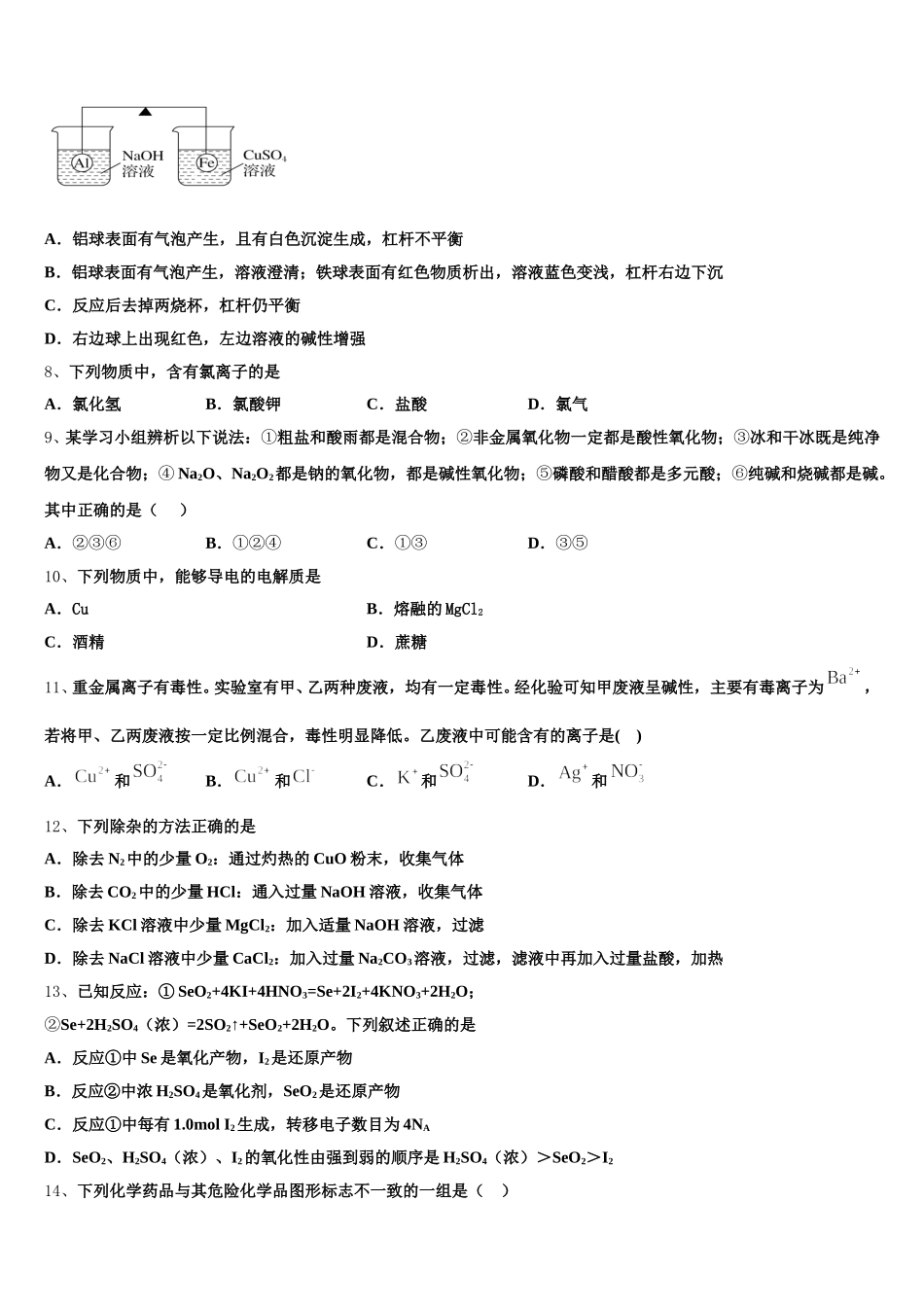山东平阴一中2025-2026学年化学高一第一学期期中教学质量检测模拟试题含解析_第2页