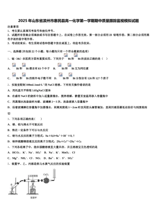 2025年山东省滨州市惠民县高一化学第一学期期中质量跟踪监视模拟试题含解析