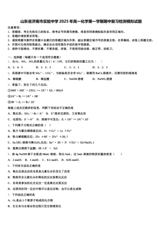 山东省济南市实验中学2025年高一化学第一学期期中复习检测模拟试题含解析