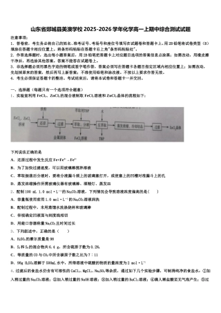 山东省郯城县美澳学校2025-2026学年化学高一上期中综合测试试题含解析