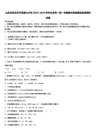 山东省青岛市平度第九中学2025-2026学年化学高一第一学期期中质量跟踪监视模拟试题含解析