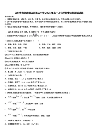 山东省青岛市崂山区第二中学2025年高一上化学期中达标测试试题含解析