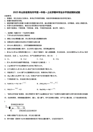 2025年山东省青岛市平度一中高一上化学期中学业水平测试模拟试题含解析