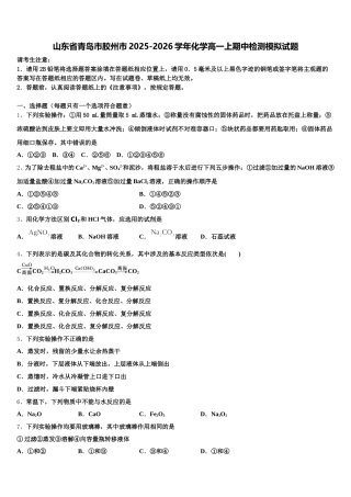 山东省青岛市胶州市2025-2026学年化学高一上期中检测模拟试题含解析