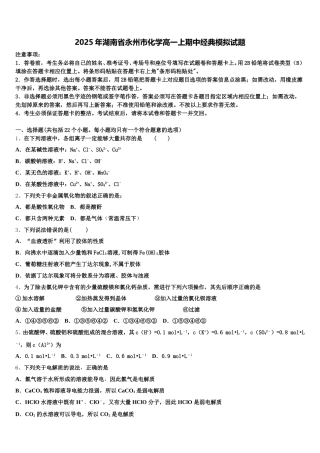 2025年湖南省永州市化学高一上期中经典模拟试题含解析