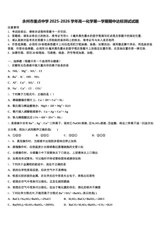 永州市重点中学2025-2026学年高一化学第一学期期中达标测试试题含解析