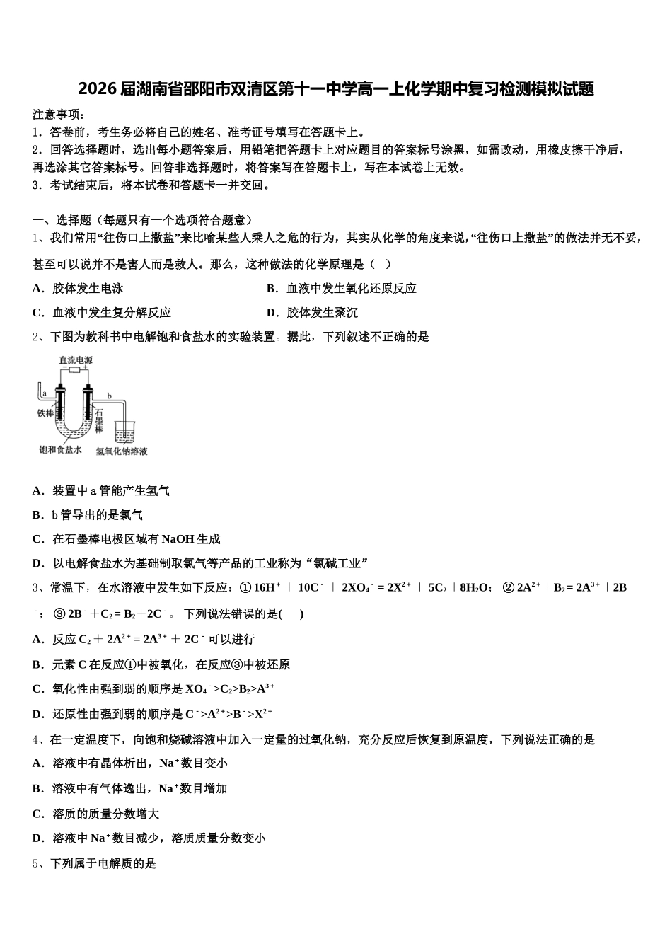 2026届湖南省邵阳市双清区第十一中学高一上化学期中复习检测模拟试题含解析_第1页