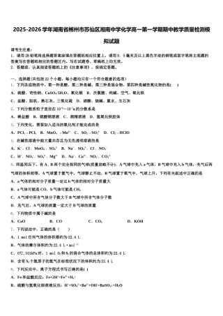 2025-2026学年湖南省郴州市苏仙区湘南中学化学高一第一学期期中教学质量检测模拟试题含解析