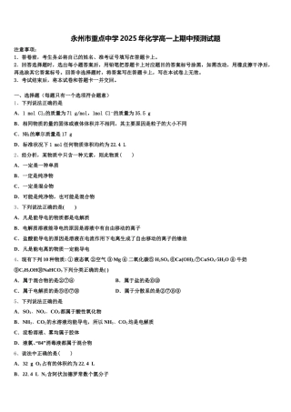 永州市重点中学2025年化学高一上期中预测试题含解析