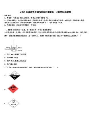 2025年湖南省岳阳市临湘市化学高一上期中经典试题含解析