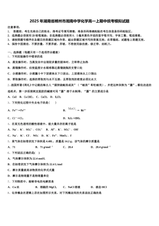 2025年湖南省郴州市湘南中学化学高一上期中统考模拟试题含解析