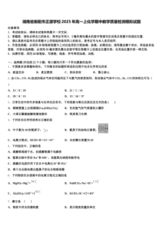 湖南省衡阳市正源学校2025年高一上化学期中教学质量检测模拟试题含解析