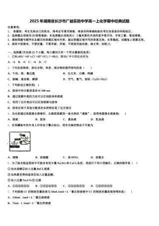 2025年湖南省长沙市广益实验中学高一上化学期中经典试题含解析