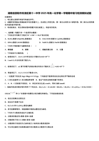 湖南省邵阳市双清区第十一中学2025年高一化学第一学期期中复习检测模拟试题含解析