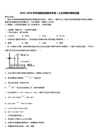 2025-2026学年湖南省湘南中学高一上化学期中调研试题含解析