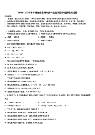 2025-2026学年湖南省永州市高一上化学期中经典模拟试题含解析