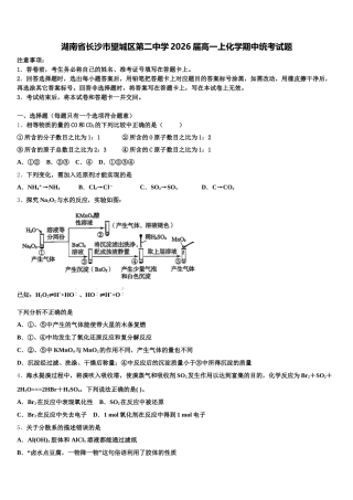 湖南省长沙市望城区第二中学2026届高一上化学期中统考试题含解析