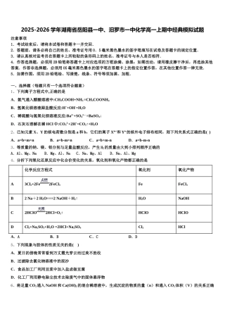 2025-2026学年湖南省岳阳县一中、汨罗市一中化学高一上期中经典模拟试题含解析
